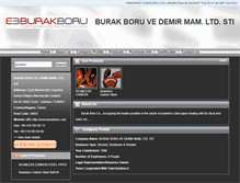 Tablet Screenshot of burakboru.tubesolution.com